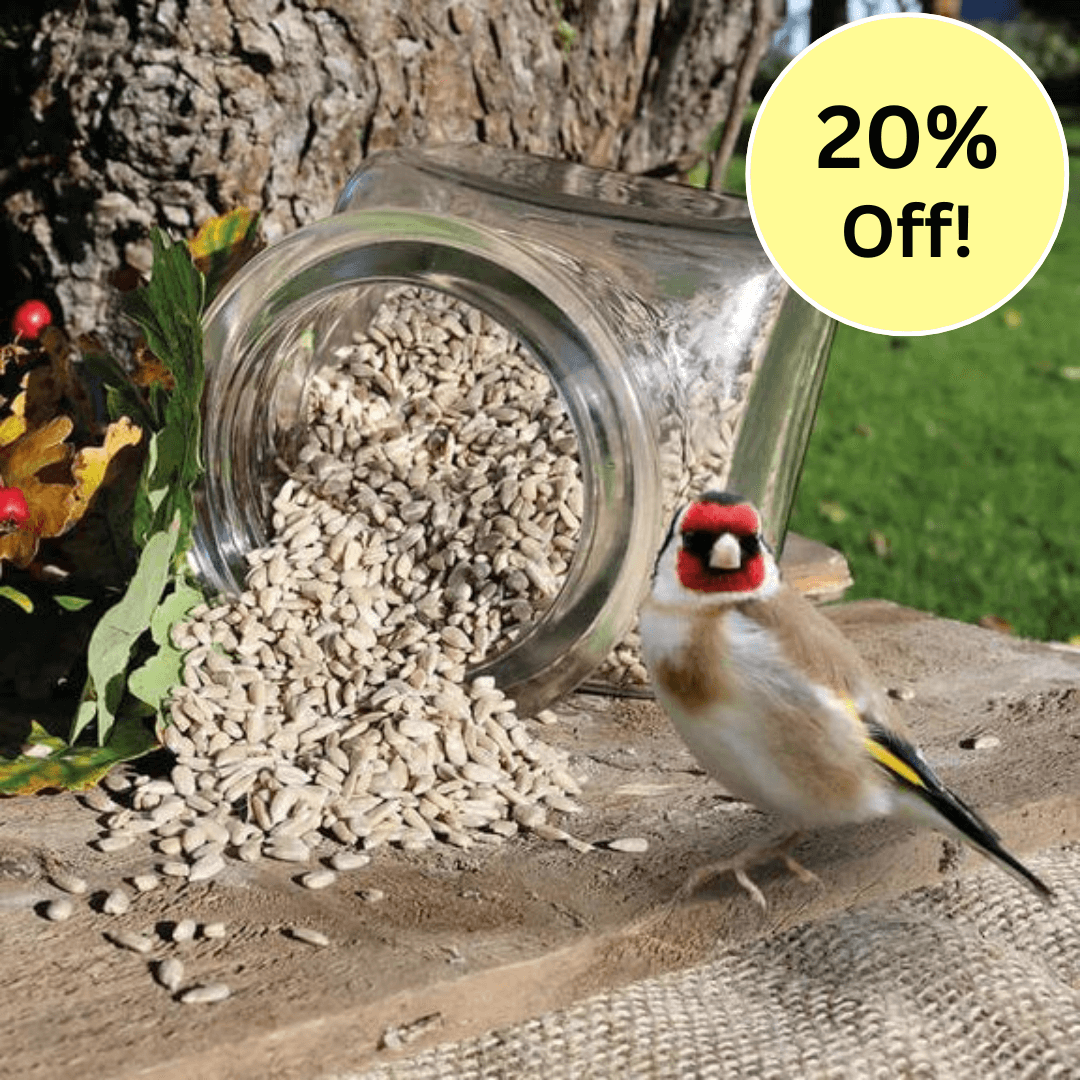 Sunflower Hearts - Wild Bird Food