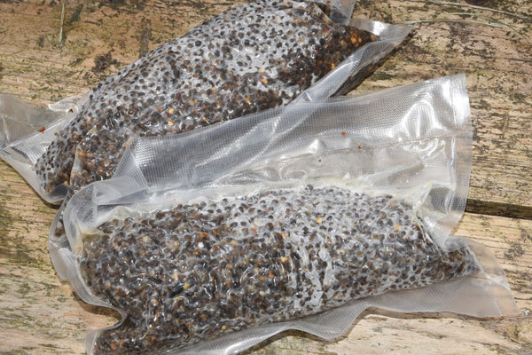 Photo of two bags of boiled bait in sealed plastic bags