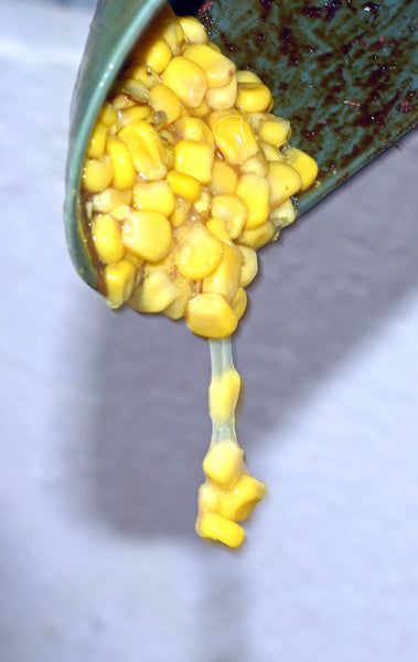 Sweet corn pouring out of a bowl - fishing ingredient.