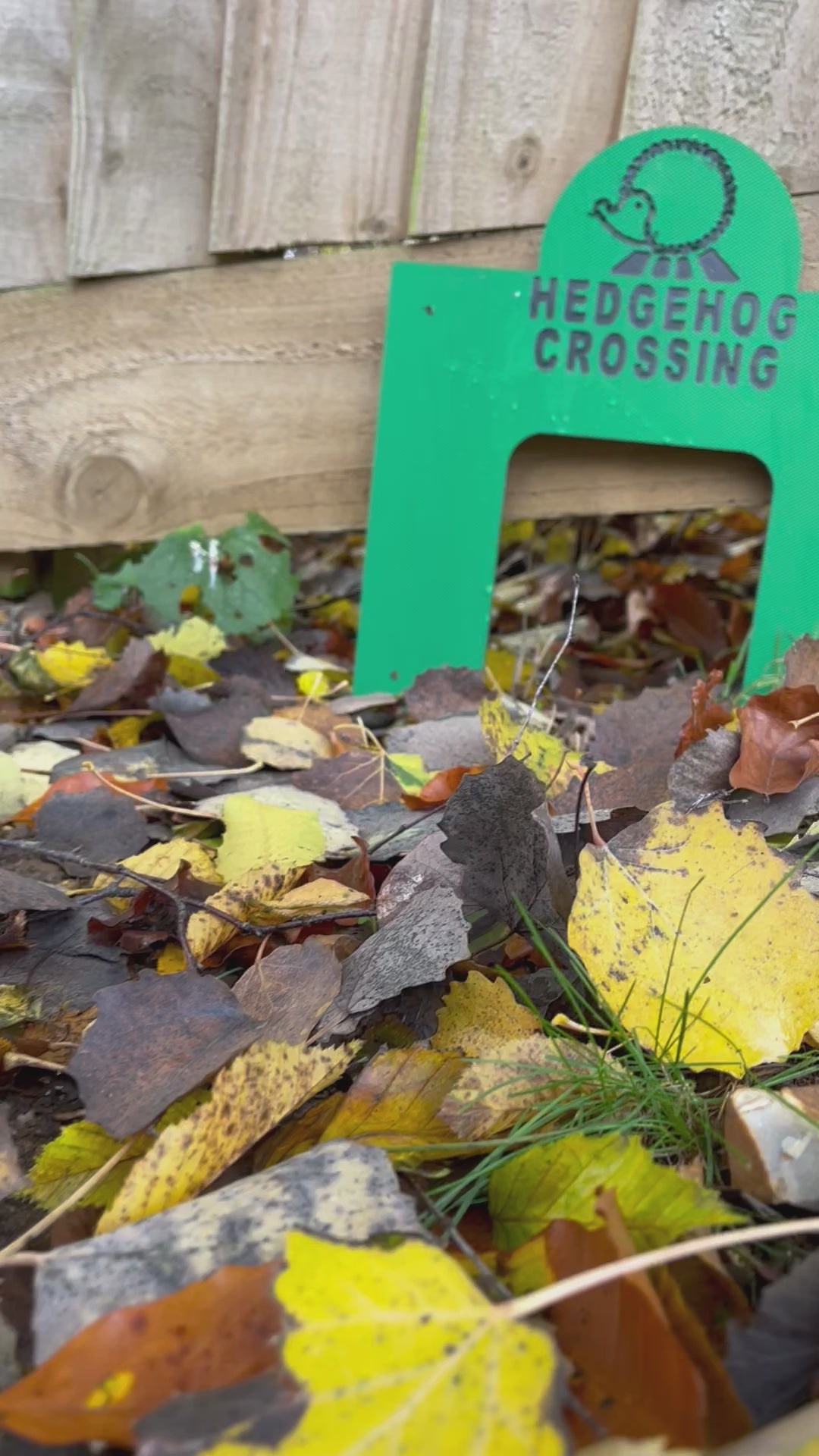 A video showing how Haith's Hedgehog Crossing allows hedgehogs to move freely from garden to garden.