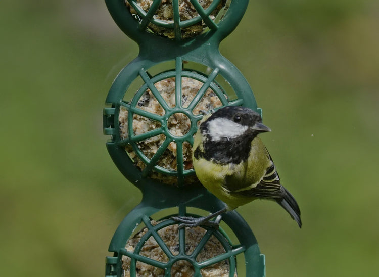 Fat Balls, Bird Cakes, Treats & Suet Pellets