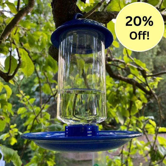 Lovely blue hanging drinker for garden birds