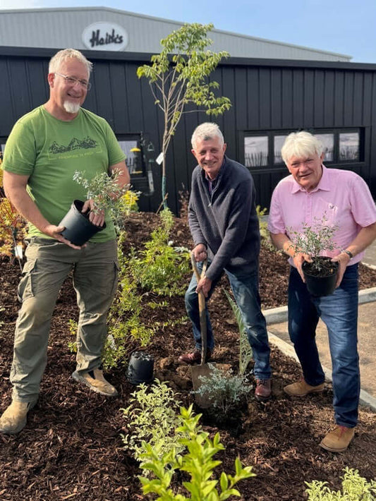 Honouring Budgie Breeders: Memorial Eucalyptus Trees Planted at Haith’s New HQ