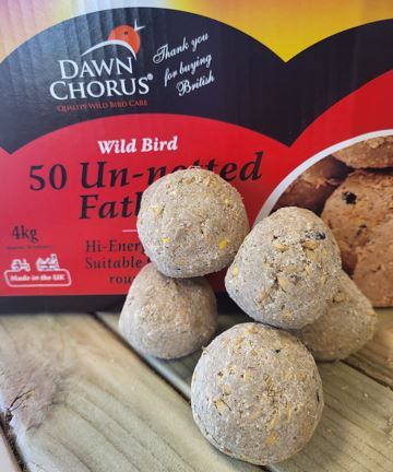 Super Value Fat Balls (without nets)