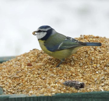 Softfoods for Bird Feeding Tables & Ground Feeding Birds