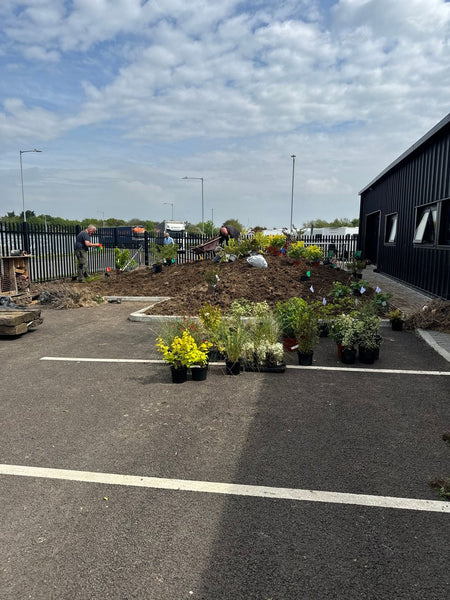 Image of plants being delivered to Haith's