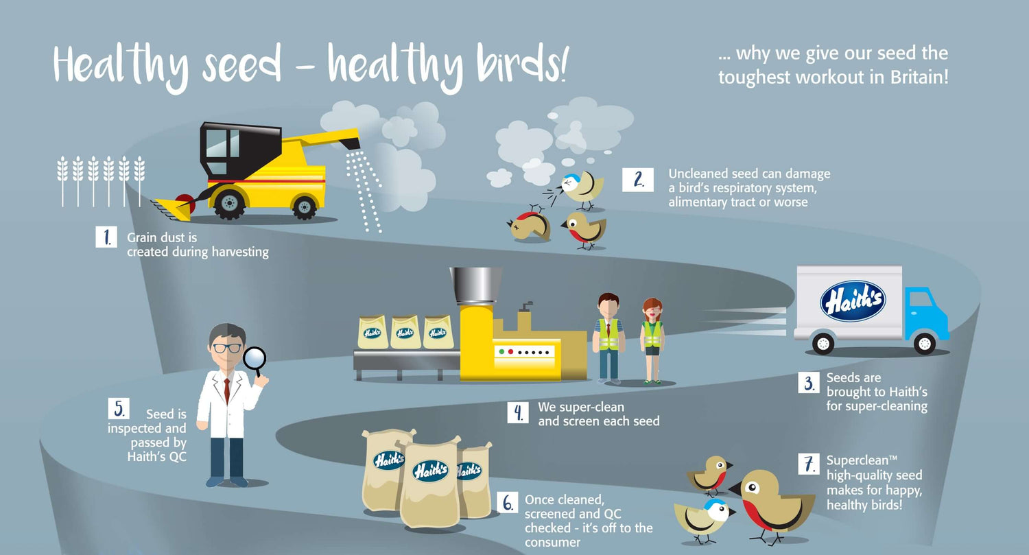 An inforgraphic showing the superclean wild bird food mixes cleaning regime at Haith's bird food and why healthy bird diets are essential for healthy birds and garden wildlife.