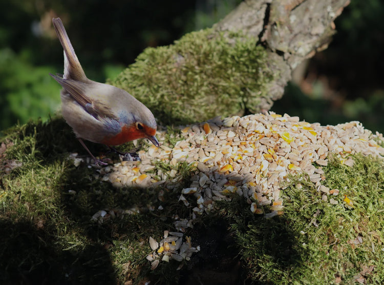 No Mess, No Grow Bird Seed Mixes