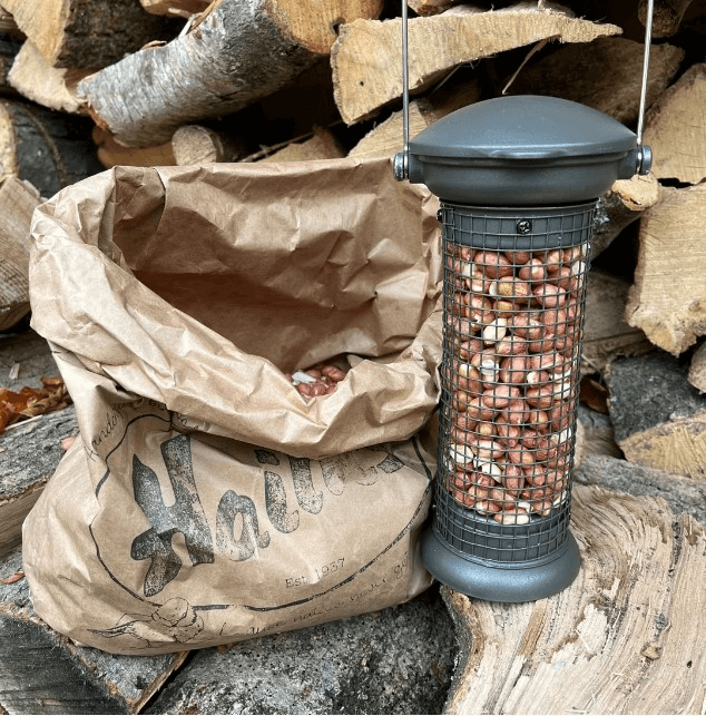 Peanut Bird Feeders Collection