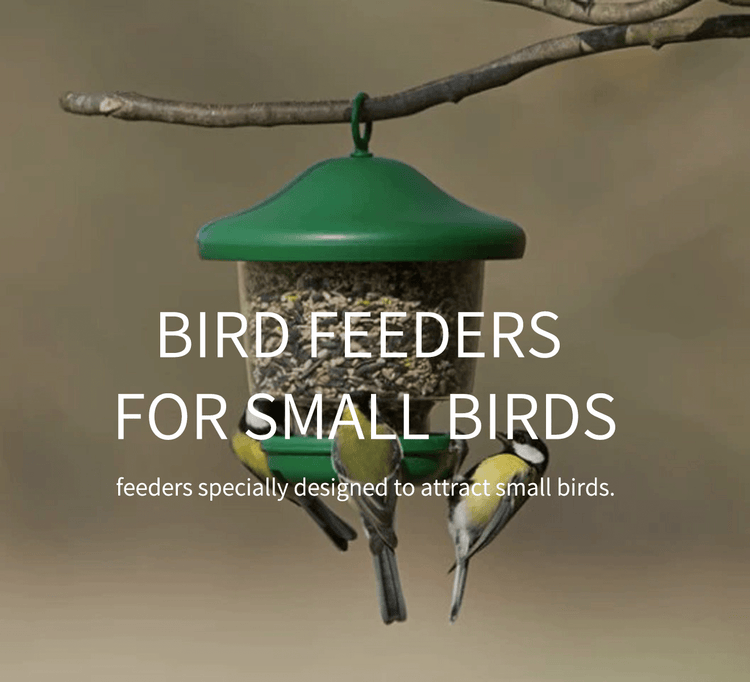 Small Bird Feeder Collection