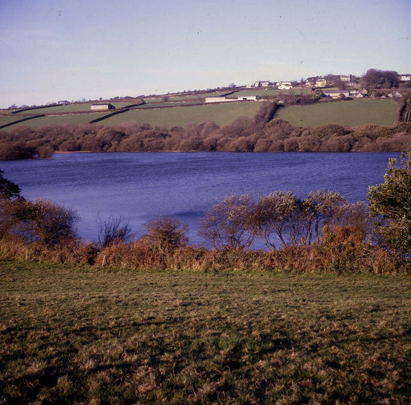 In the 1980s I fished a highly productive lake that was formed by damming a river and allowing the lake to form over a shallow plain