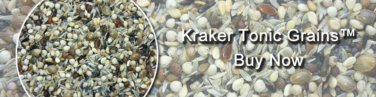 Kraker Tonic Grains 