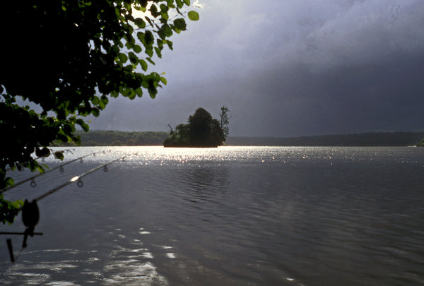 Lac de la Poiteviniere (Chateau Lake) is a well-established estate lake