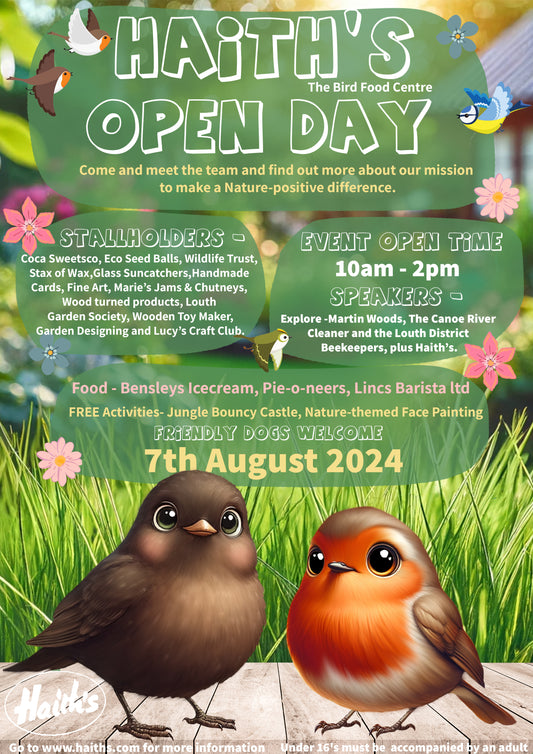 Open Day poster