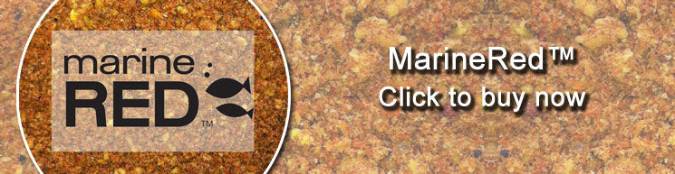 MarineRed Carp Fishing Bait