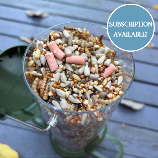 Medley *New* - Super Bird Food Blend