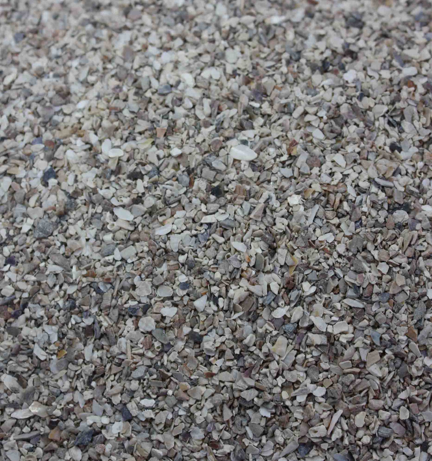 Fine Oystershell Grit is finely formulated to ensure gradual solubility. It is an ideal grinding agent in the gizzard