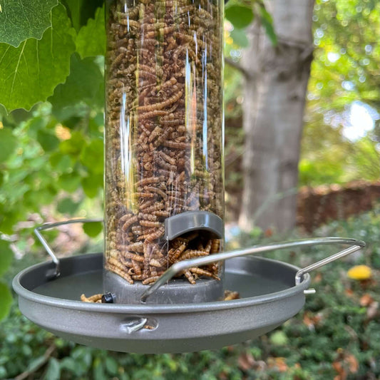 Two ports and a tray at the bottom, to capture dried mealworms. 