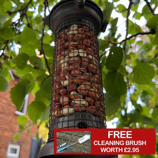 Pewter peanut feeder with flick top hinged to open with ease.