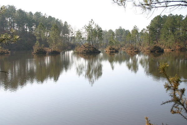 Rainbow Lake