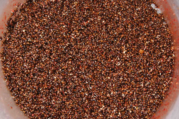 Robin-Red-boosted-Hemp-seed