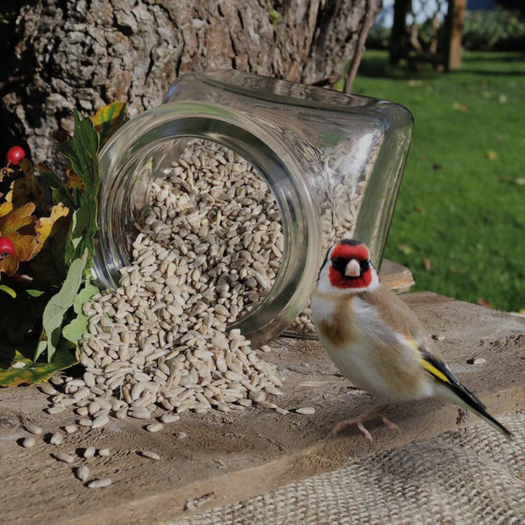 Sunflower Hearts for Birds