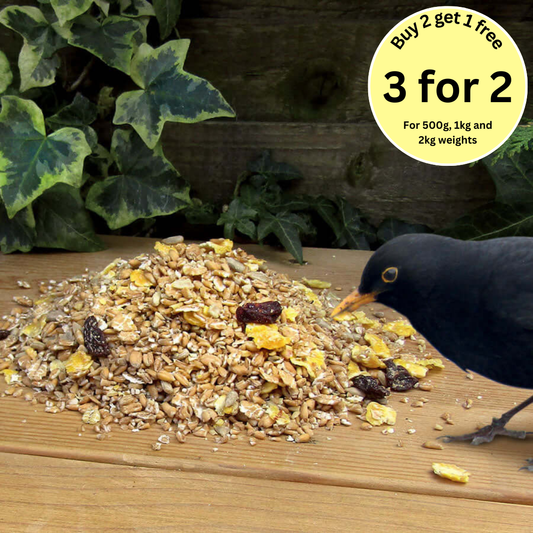 Songster Wild Bird Food™