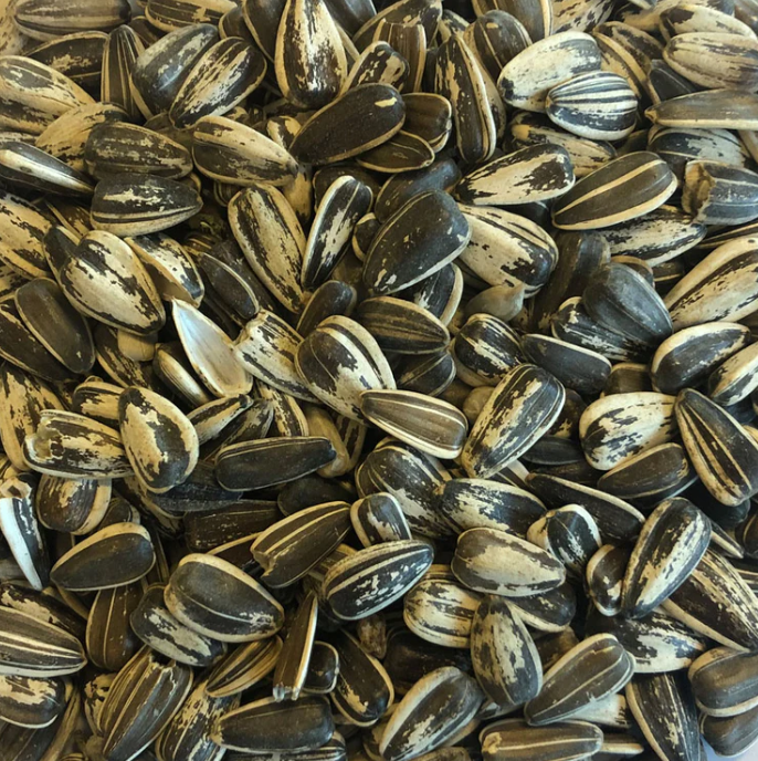 Top-Quality Sunflower Seeds