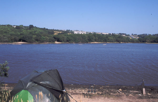 The shallow nature of the lake allows maximum light penetration and weed growth and the silt is a rich soup of organic matter