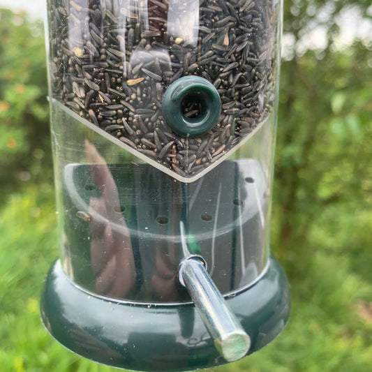 Robust polycarbonate tube with metal perches.