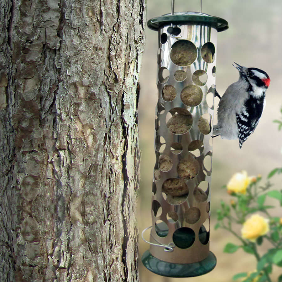 Polished metal top quality fat ball/ suet ball feeder suitable for five small suet balls