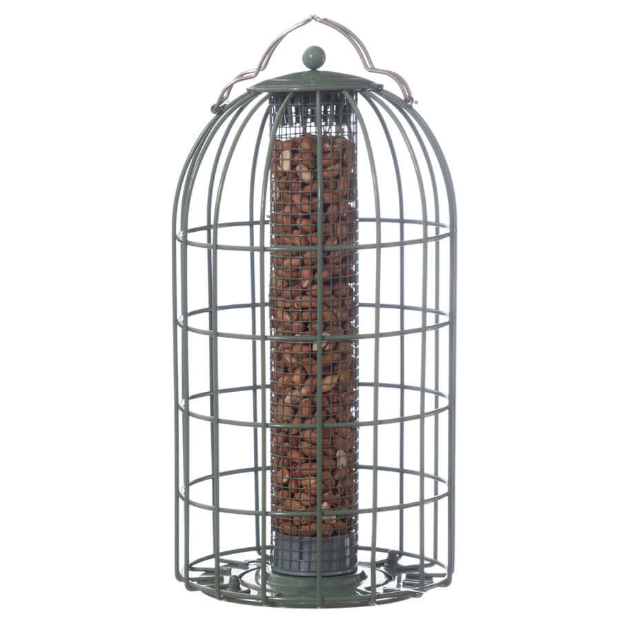 Metal caged peanut feeder with metal hanging loop in sage green