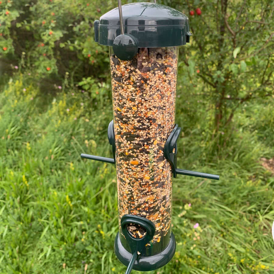 Seed feeder with hanging loop with 4 ports for bird food mixes