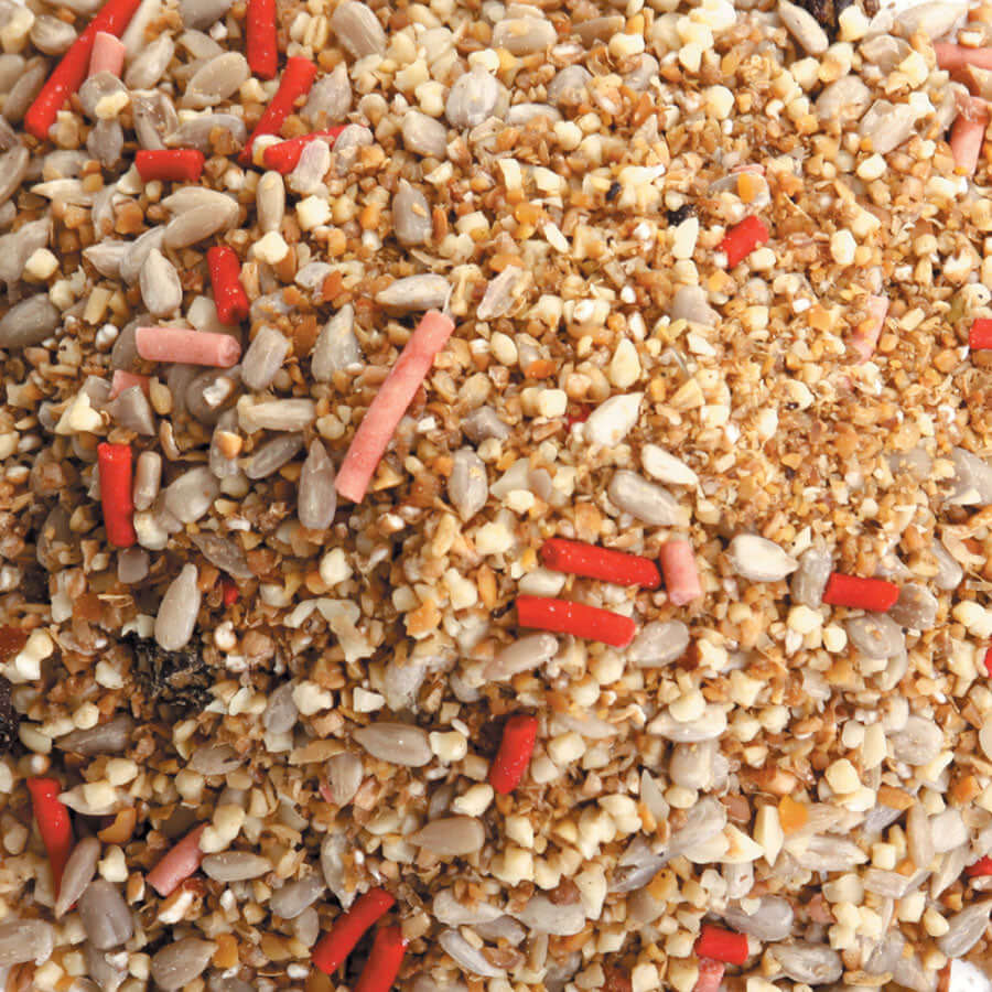 Fat Robin Mix containing red berry suet pellets, sunflower hearts and raisins. 