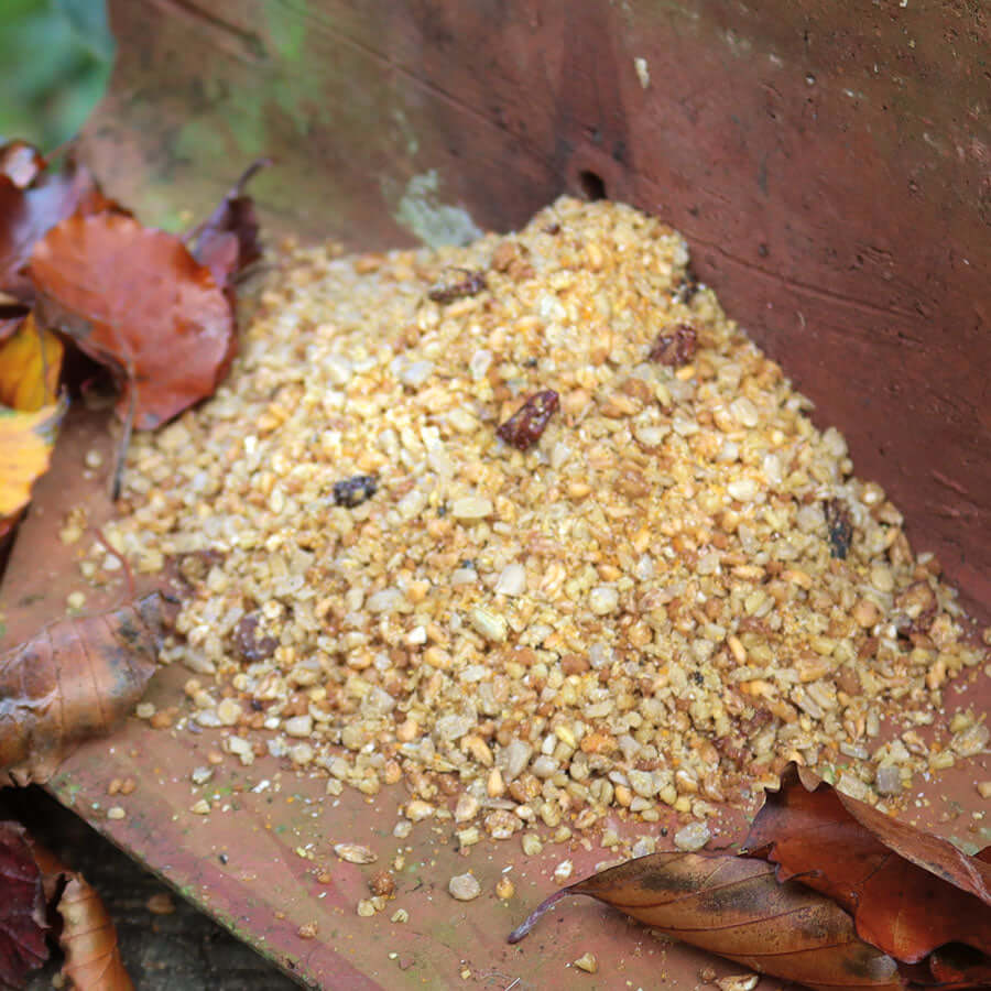 Crumbly moist garden bird soft food which includes raisins and sunflower hearts available in bulk weights.